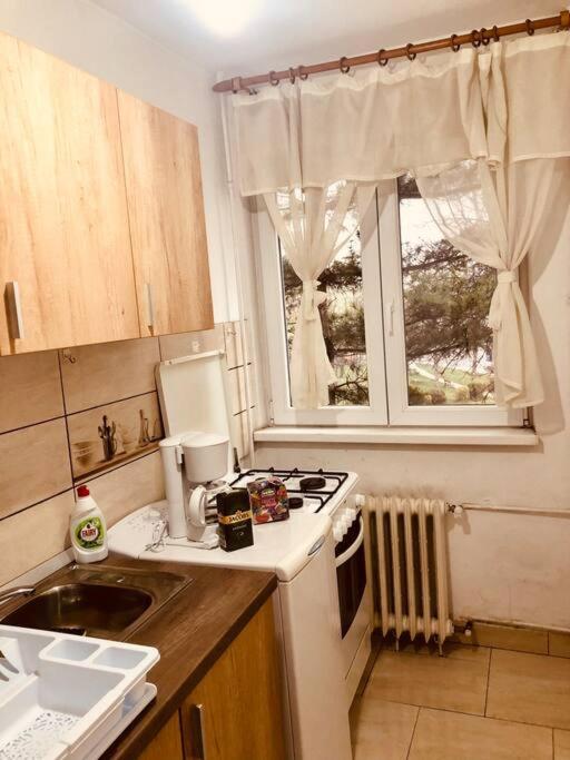 Nice apt near Spitalul Judetean, all you need LR14 Timişoara Exterior foto