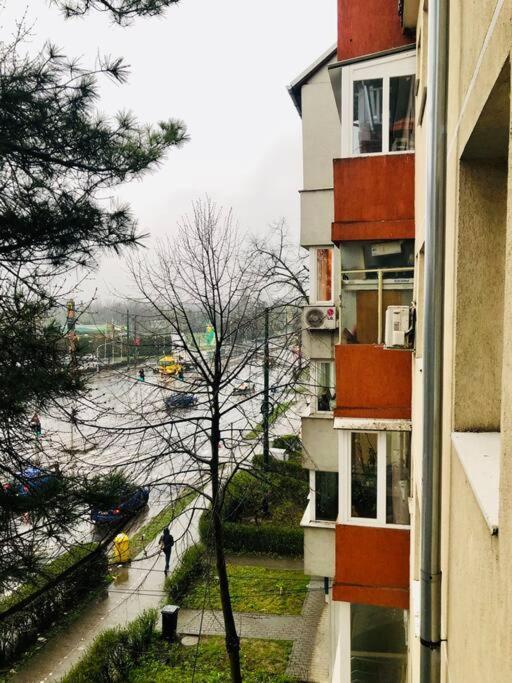 Nice apt near Spitalul Judetean, all you need LR14 Timişoara Exterior foto
