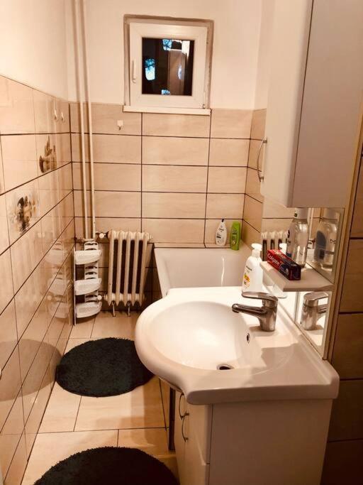 Nice apt near Spitalul Judetean, all you need LR14 Timişoara Exterior foto