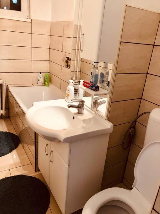 Nice apt near Spitalul Judetean, all you need LR14 Timişoara Exterior foto