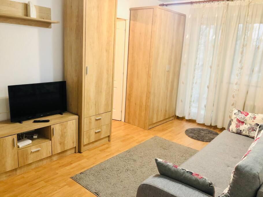 Nice apt near Spitalul Judetean, all you need LR14 Timişoara Exterior foto